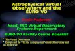 The Virtual Observatory Europe and the VO: the Astrophysical Virtual Observatory and the EURO-VO Astrophysical Virtual Observatory and the EURO-VO Paolo
