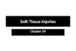 Soft Tissue Injuries Chapter 24. Functions of the Skin Protection Sensation Temperature control Protection Sensation Temperature control