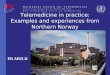 Telemedicine in practice: Examples and experiences from Northern Norway Eli ARILD