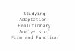 Studying Adaptation: Evolutionary Analysis of Form and Function