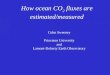 How ocean CO 2 fluxes are estimated/measured Colm Sweeney Princeton University and Lamont-Doherty Earth Observatory