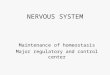 NERVOUS SYSTEM Maintenance of homeostasis Major regulatory and control center