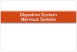 Digestive System Nervous System. The Digestive System