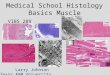 Medical School Histology Basics Muscle VIBS 289 lab Larry Johnson Texas A&M University