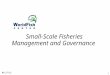 11/13/2015 1 Small-Scale Fisheries Management and Governance