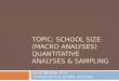 TOPIC: SCHOOL SIZE (MACRO ANALYSES) QUANTITATIVE ANALYSES & SAMPLING Jacob Werblow, Ph.D. Central Connecticut State University