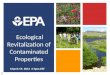 Ecological Revitalization of Contaminated Properties March 19, 2013 2-4pm EST 1