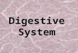 Digestive System. Nutrients Substances in food that provide raw materials and energy the body needs to live Our digestive system turns the chemical energy