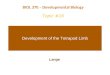 Development of the Tetrapod Limb Lange BIOL 370 – Developmental Biology Topic #16