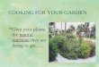 COOKING FOR YOUR GARDEN §Give your plants the natural nutrients they are dying to get…