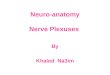 Neuro-anatomy Nerve Plexuses By Khaled Na3im. The C.N.S = Brain + Spinal Cord C.N.S tissue is enclosed within the skull and vertebral column The C.N.S.is