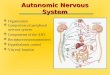 Autonomic Nervous System  Organization  Comparison of peripheral nervous system  Components of the ANS  Receptors/neurotransmitters  Hypothalamic