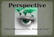 What Influences Your Point of View?. What do you see?