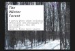 The Winter Forest A poetry-photo album including reflections and photography of our neighbour, Parc des Sansonnets. Grade 6, École Saint-Laurent