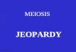 MEIOSIS JEOPARDY S2C06 Jeopardy Review DifferencesVocabulary Mitosis OR Meiosis Picture ID More Vocab 100 200 300 400 500
