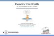 1 Condor BirdBath SOAP Interface to Condor Charaka Goonatilake Department of Computer Science University College London c.goonatilake@cs.ucl.ac.uk