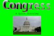 A Quick Overview. National Legislature Bicameralism--made up of two houses Congress made up of the House of Representatives & Senate Historically from