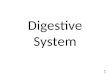 Digestive System 1. Digestive system 2 Food Intake - Ingestion 1. 2. 3. 4. 3