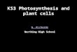 KS3 Photosynthesis and plant cells W. Richards Worthing High School