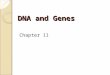 DNA and Genes Chapter 11. 11-1 DNA: The Molecule of Heredity Objectives Analyze the structure of DNA Determine how the structure of DNA enables it to