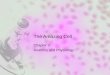 The Amazing Cell Chapter 3 Anatomy and Physiology