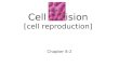 Cell Division [cell reproduction] Chapter 8-2. Prokaryotes Lack organelles Simple celled organisms Bacteria DNA- is circular, free floating