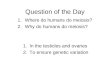 Question of the Day 1.Where do humans do meiosis? 2.Why do humans do meiosis? 1.In the testicles and ovaries 2.To ensure genetic variation