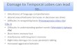 Damage to Temporal Lobes can lead to… disturbance of language comprehension altered sexual behavior (increase or decrease sex drive) Difficulty in recognizing