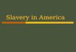 Slavery in America. Slavery: A Two-Part Story  The history of slavery in North America is broken into a two-fold story: 1.15 million Africans were transported