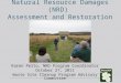 Natural Resource Damages (NRD) Assessment and Restoration Update Karen Pelto, NRD Program Coordinator October 27, 2011 Waste Site Cleanup Program Advisory