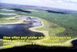How often and under what circumstances does wetland drying or thawing of permafrost cause a change in ecosystem state? How often and under what circumstances