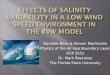 Danielle Niles & Steven Martinaitis Physics of the Air-Sea Boundary Layer OCP 5551 Dr. Mark Bourassa The Florida State University