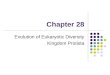 Chapter 28 Evolution of Eukaryotic Diversity Kingdom Protista