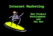 Internet Marketing New Product Development and the Net