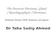 The Posterior Pituitary Gland ( Neurohypophysis ) Hormones Antidiuretic Hormone ( ADH, Vasopressin ) and Oxytocin Dr Taha Sadig Ahmed