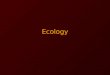 Ecology. Ecology is the study of organisms and their interaction with the environment. –An organism is any living thing Examples: Humans, animals, plant,