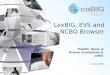 LexBIG, EVS and NCBO Browser Publish, Query, & Browse Vocabularies in caBIG January 2008