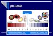 PH Scale Increases by a factor of 10X. Increases by a factor of 10X. Neutral = 7.0 (Water)