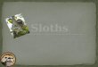 Intro Sloths habitat Sloth species Baby sloths 10 Facts Table Front cover History of sloths websites