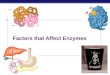 AP Biology 2007-2008 Factors that Affect Enzymes