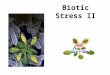 Biotic Stress II. 1. Agents of Biotic Stress 2. Physical and chemical barriers and pathogen recognition 3. Basal Immune System 4. SAR 5. Hipersensitivity