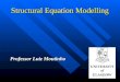 Structural Equation Modelling Professor Luiz Moutinho