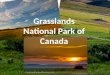 Grasslands National Park of Canada. Location Grasslands National Park is located in Val Marie, Saskatchewan. South west part of Saskatchewan