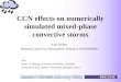 CCN effects on numerically simulated mixed-phase convective storms with Klaus D. Beheng, University Karlsruhe, Germany Alexander Khain, Hebrew University