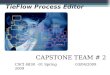 TieFlow Process Editor CAPSTONE TEAM # 2 03/04/2009CSCI 6838 -01 Spring 2009
