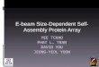 E-beam Size-Dependent Self- Assembly Protein Array