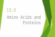 13.9 Amino Acids and Proteins. First things first… A BASIC AMINO ACID STRUCTURE Now lets split this amino acid into its 3 main component parts