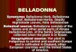 BELLADONNA Synonyms: Belladonna Herb, Belladonna Leaf, Belladonnae Herba, Deadly Nightshade Leaves, Folia Belladonnae Botanical source: Belladonna consists