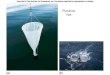 Plankton Net. Fnft Fnft: The evolutionary relationships of the major groups of marine organisms