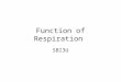 Function of Respiration SBI3U. RESPIRATORY SYSTEM PRIMARY function: BREATHING (for gas exchange): 1.uptake oxygen needed by the cells 2.release carbon